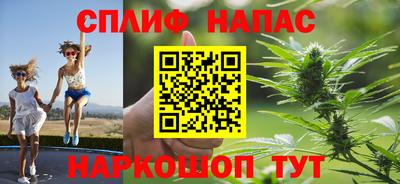 МДПВ Будённовск