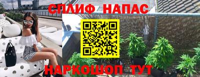 МДПВ Будённовск