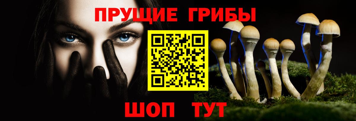 Сатка  Псилоцибиновые грибы мухоморы  Вход с VPN 